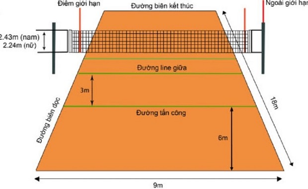 Các Yếu Tố Cốt Lõi Trong Thiết Kế Sân Bóng Chuyền